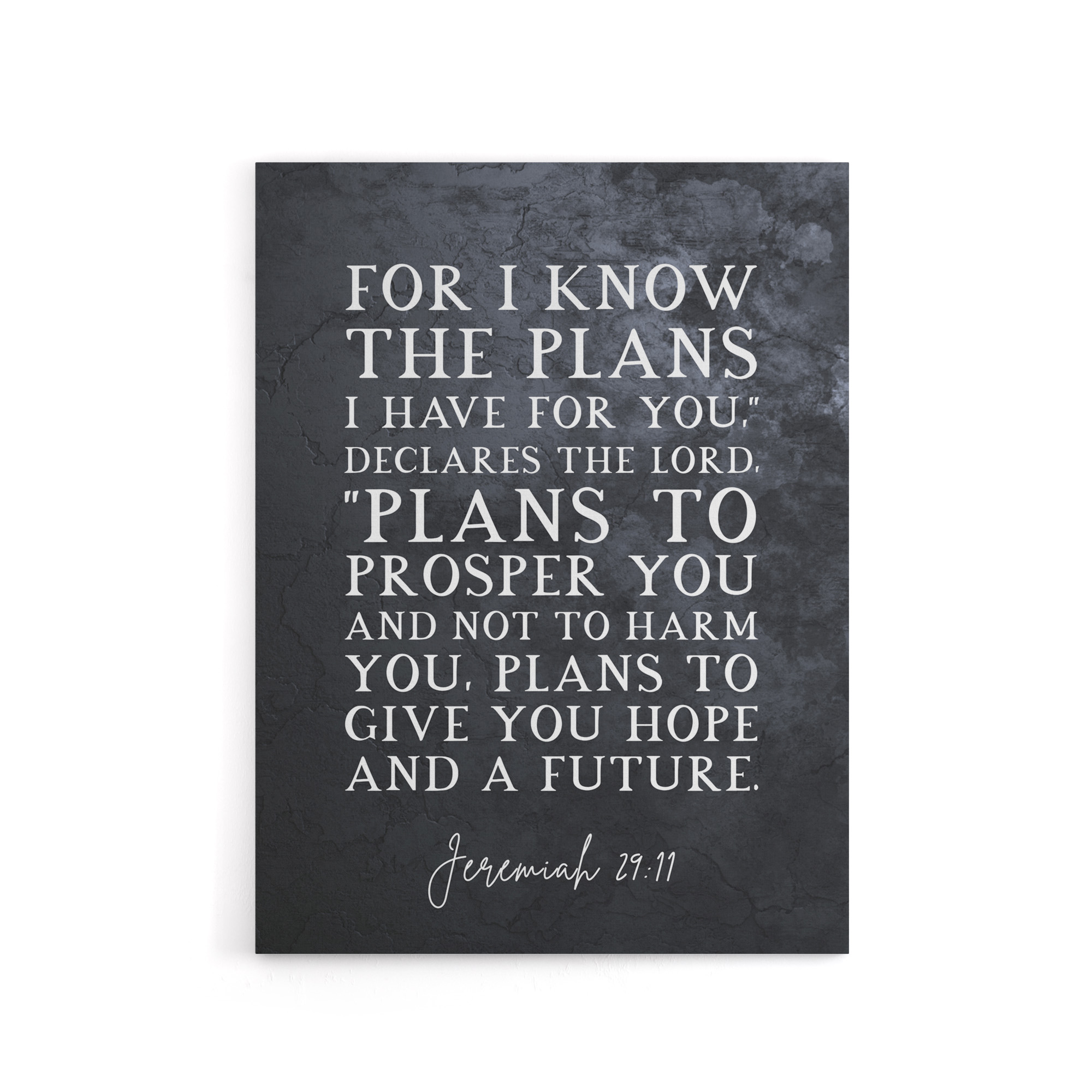 Jeremiah 29 11 I Know The Plans Have Bible Quote Canvas Wall Art Print
