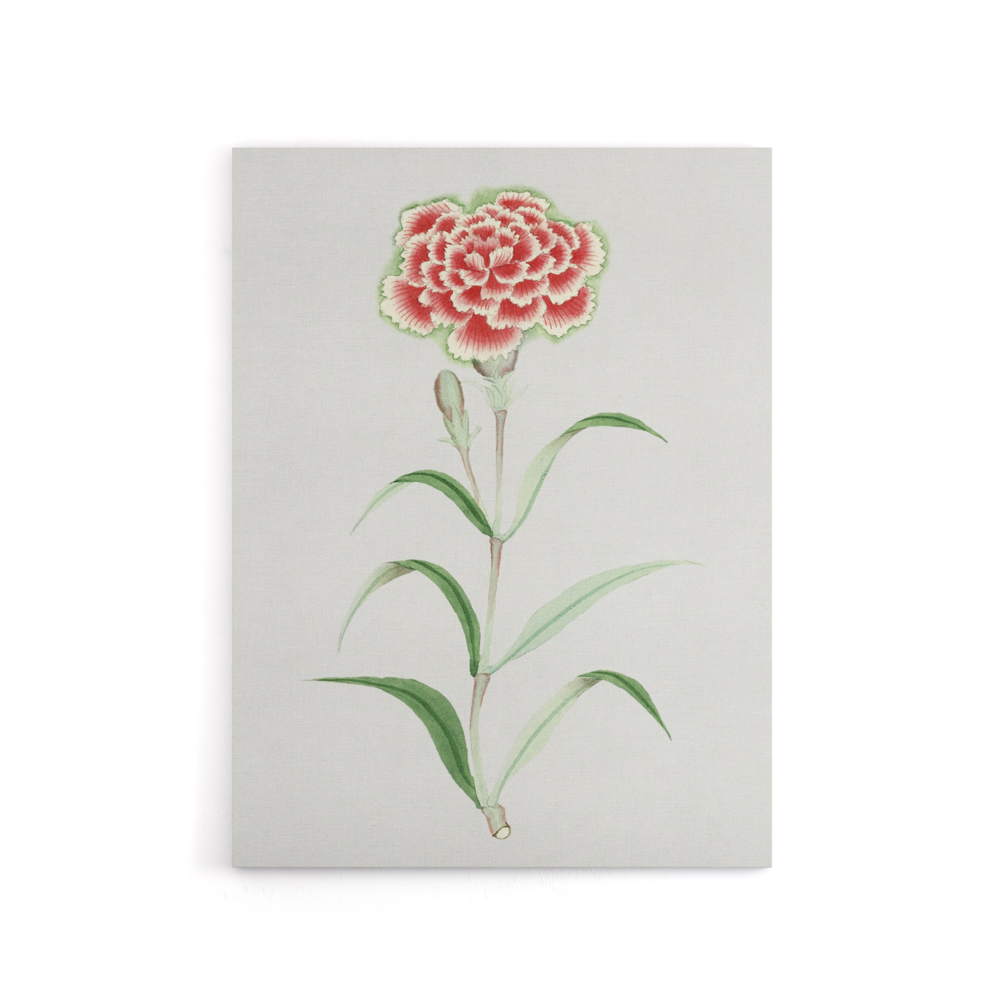 Carnation Flower Canvas Wall Art Print Vintage Japanese Botanical