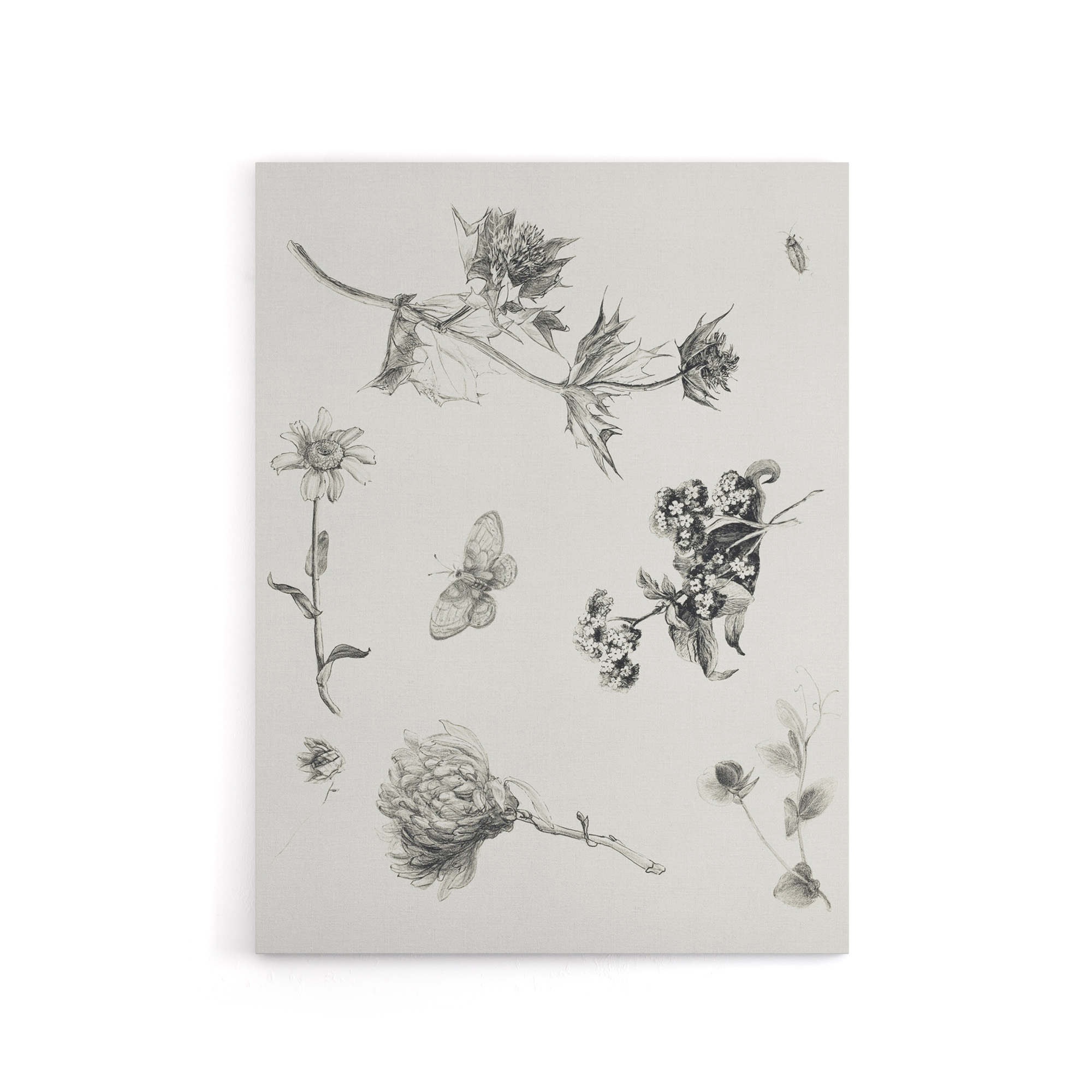 Flowers Leaves Butterfly Drawing Canvas Wall Art Print Hoytema
