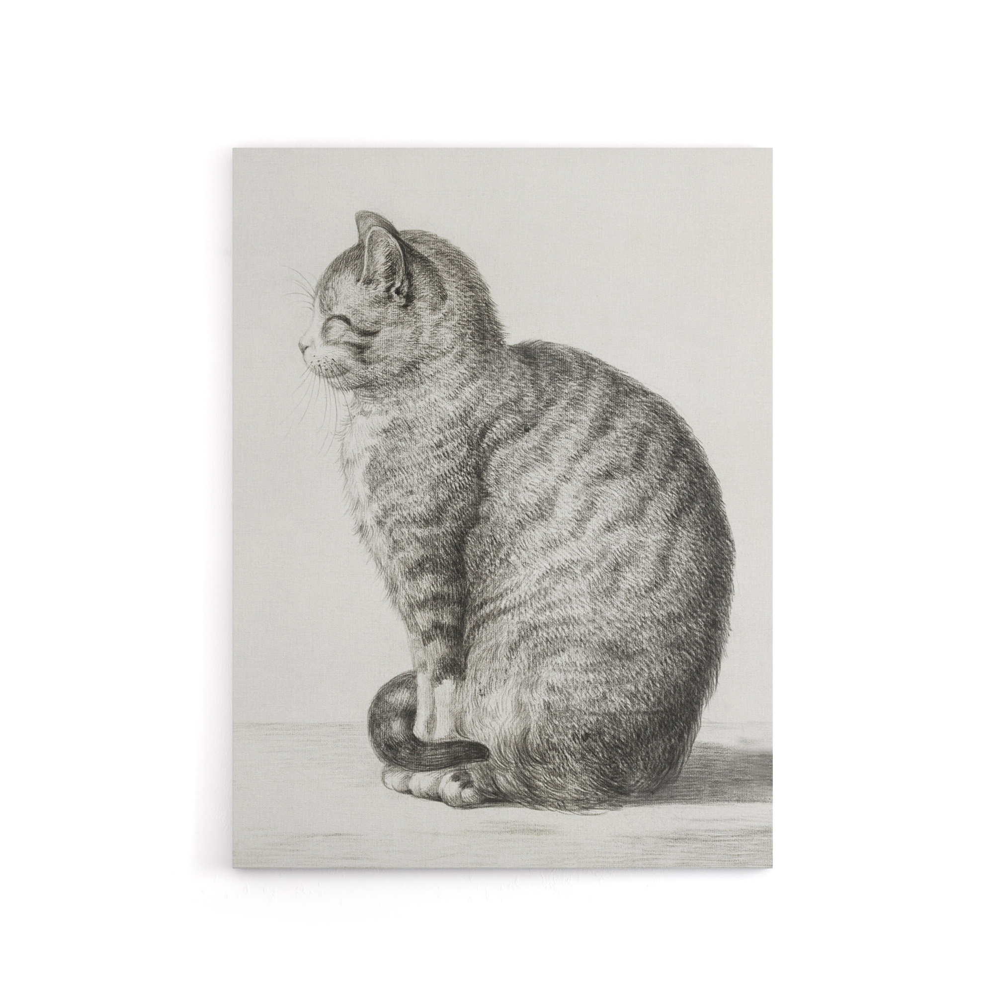 Sitting Smiling Cat Pencil Drawing Bernard Canvas Wall Art