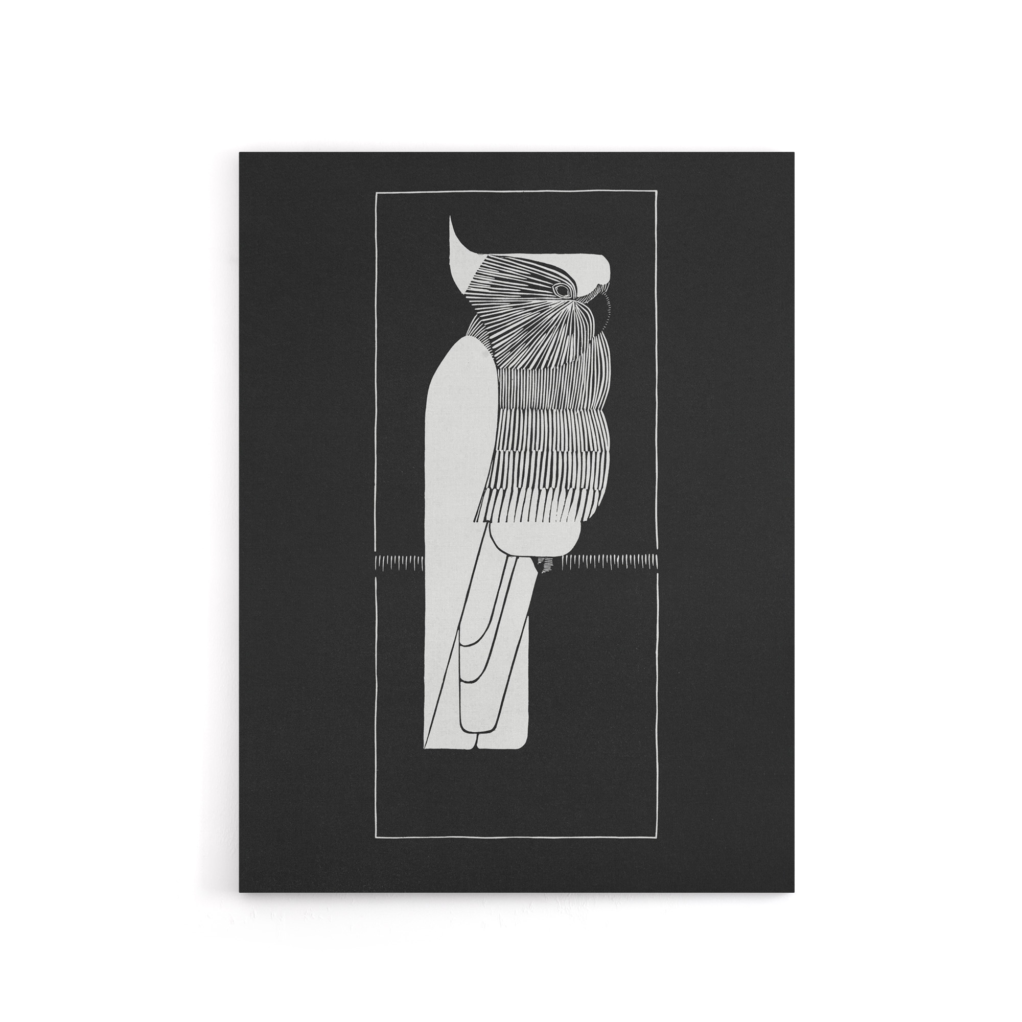 Sulphur Crested Cockatoo Parrot De Mesquita Canvas Wall Art Print