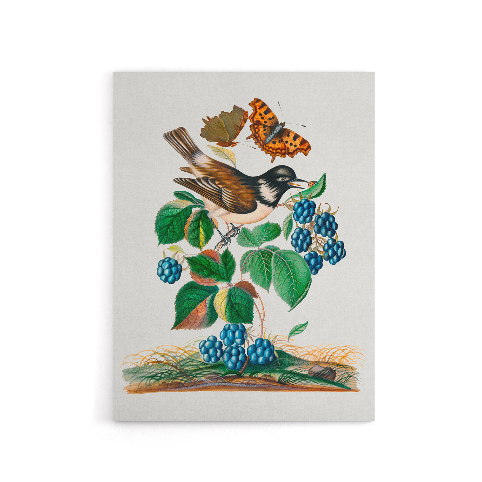 Bramble Rubus Starling and Butterflies Bolton Canvas Wall Art Print