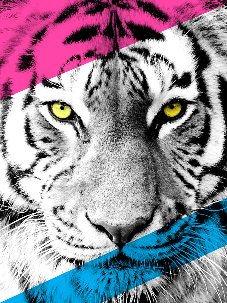 Contemporary Bold CMYK Tiger Art Print Framed Poster Wall Decor