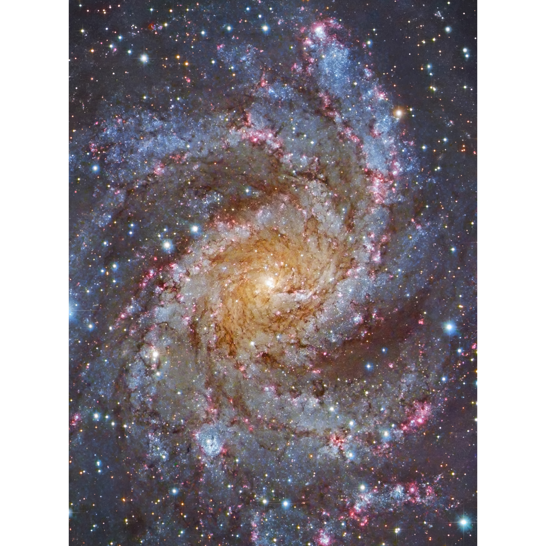 Hubble Space Telescope NGC 6946 Supernova Fireworks Galaxy Framed