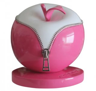 Les chroniques d'Anna D13 (34)