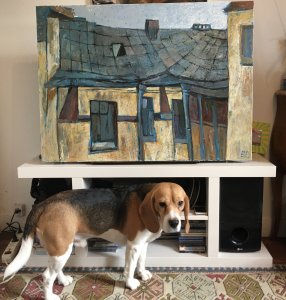 The roofs of Petersburg