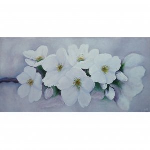 Fleurs blanches de cerisier