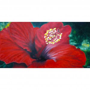 Hibiscus rouge