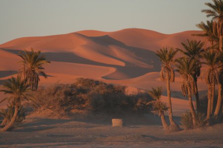 Désert de Merzouga