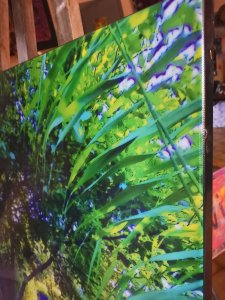 " Natural silence " / " Silence naturel "