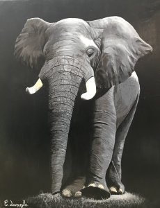 Éléphant 