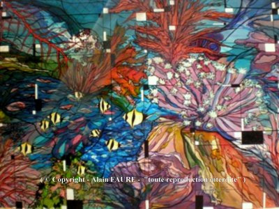 Immersion Corallienne