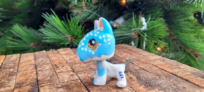 Little Pet Shop Custom/ Pitbul /custom painted LPS/LPS custom personalised/ cute small gift/LGBTQ+ custom made flag/ Gay flag