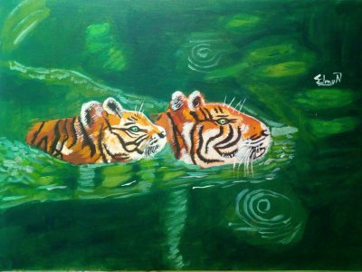 tigers in the river