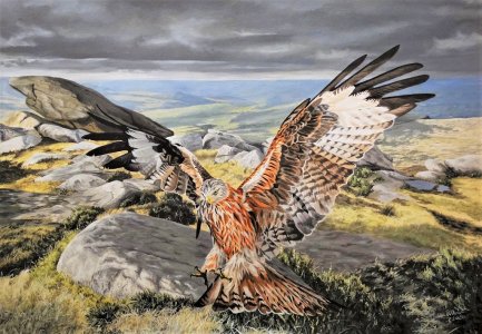 Realm of the Red Kite