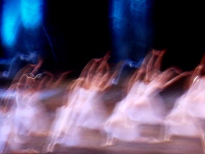 Like swans - Limited Edition of 3 Photograph by Francesca Santopadre