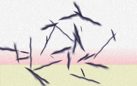 Among the bird feathers