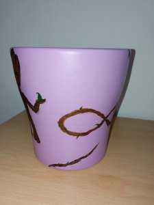 Hand painted pot