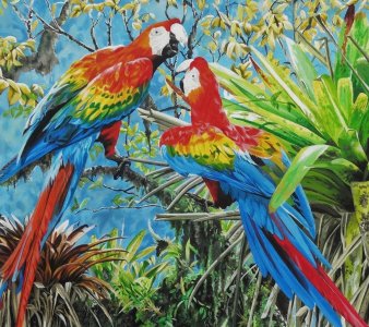 Scarlet Macaws and Bromeliads