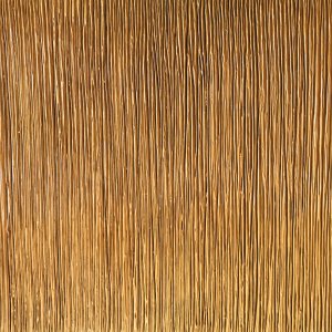 Shimmering Fall In Oregon by Ronan Martin°°°° SOLD°°°°