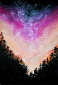 Night Sky Forest Scene