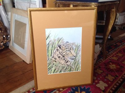 Wild animal in Savannah. Fauve dans la savane 