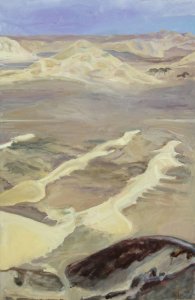 Our Earth - 14°07'59.2_S 75°51'34.4_W_desert