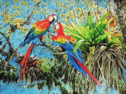 Scarlet Macaws and Bromeliads