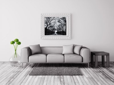 Tree-lined road in the mist