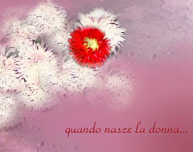 When the woman is born 