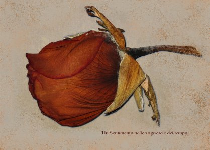 A feeling in the cobwebs of time