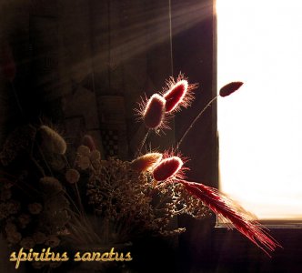 Spiritus Sanctus