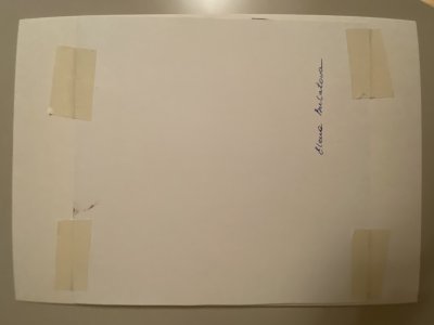 Landscape with horses