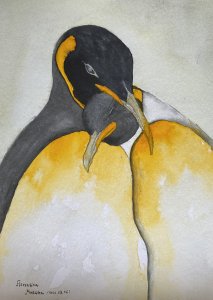 The king pinguins