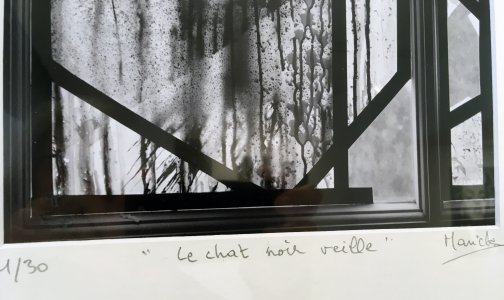 Le chat noir veille - Photography by MARICK