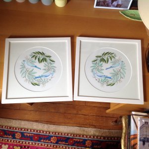 Bird on branches(crown)