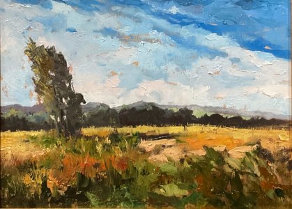 Summer day. Chaves countryside 