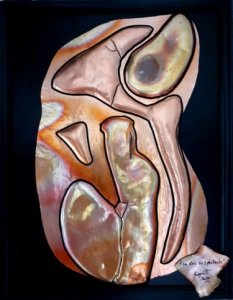 " Le clou du spectacle "