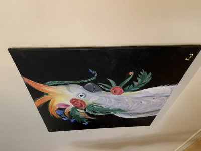 Xl painting , The buff