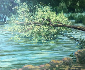 L'étang de Beauregard II