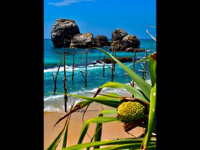 Échasses pêche et traditions 