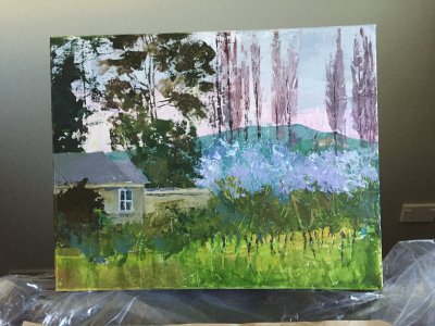 Vineyard in Canterbury, New Zealand 