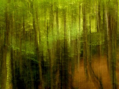 La ligne verte............