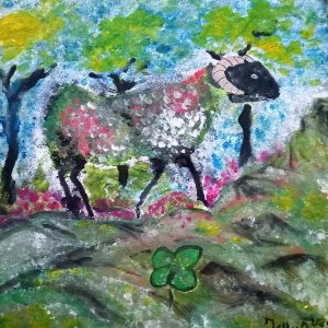 Shamrock, Trèfle and memories from a French