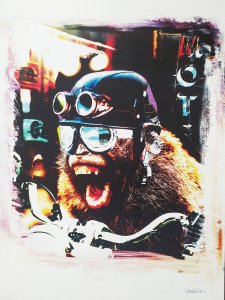 CRAZY MONKEY BIKER