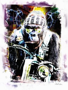 MONKEY BIKER Non-Smoker