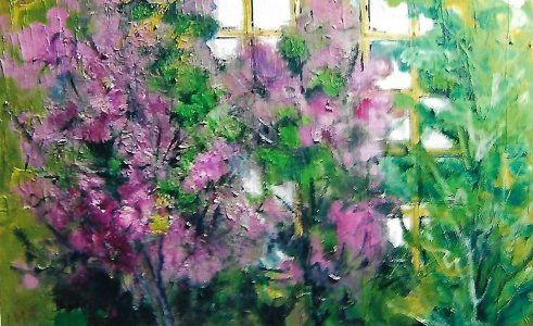 Hibiscus at the window