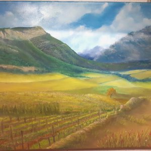 Balade en pays xatalan