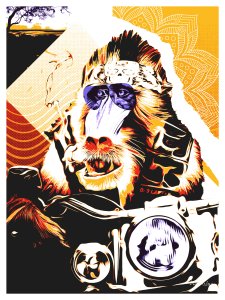 MONKEY BIKER - CAPTAIN "ORANGE"