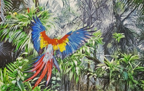 Flight to Freedom,Scarlet Macaw
